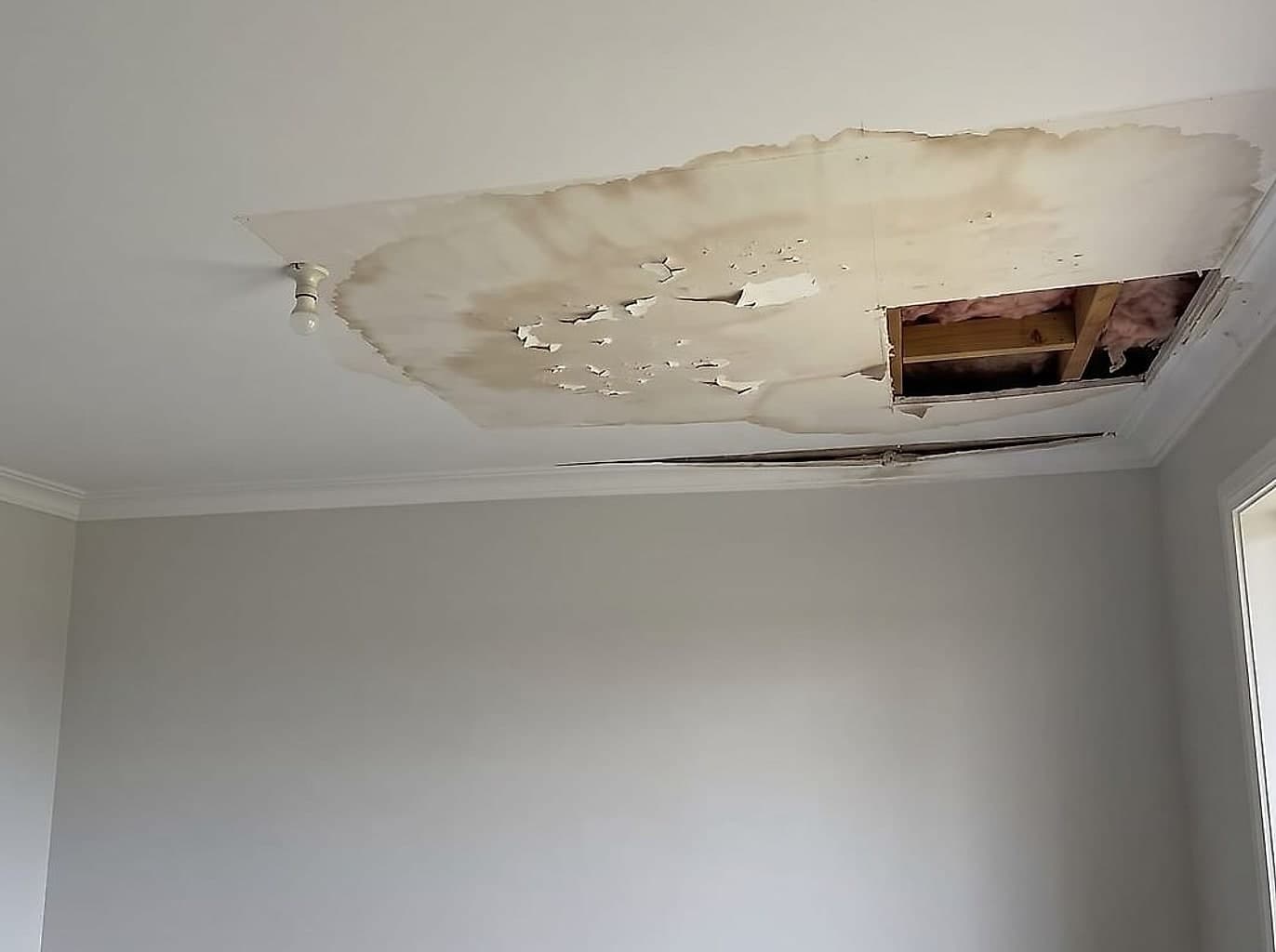 Ceiling stained and sagging after a roof leak with a section cut out to the joists